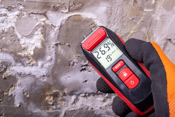 Best Toxic Mold Removal  in Jenkintown, PA